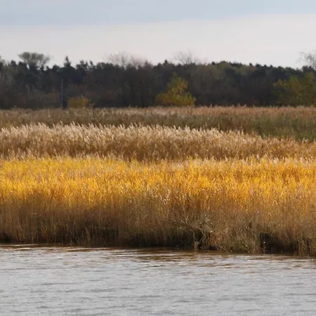 Ferienhaus Am Trommelplatz - Wolke 7
